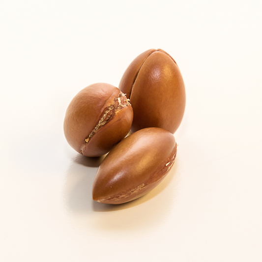 Les Bienfaits Scientifiquement Prouvés de l'Huile d'Argan pour les Cheveux et la Peau